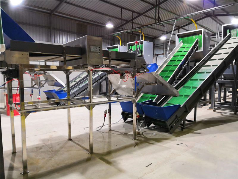 PET Cola Bottle Recycling Plastic Machinery 6000kg/H Bottle Conveyor Belt