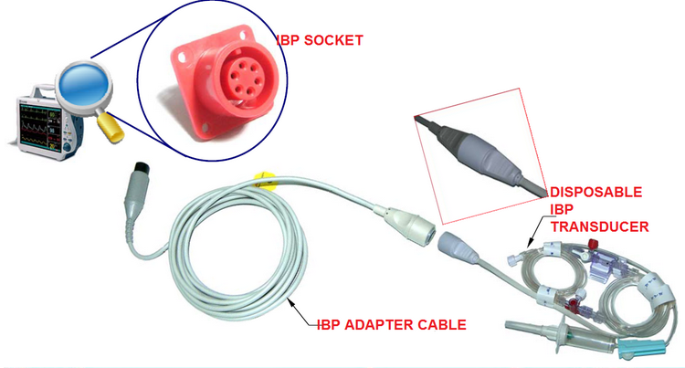 IBP Adapter Cable