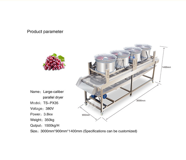 350KG Vegetable drain air drying machine stainless steel fruit and vegetable air drying complete equipment parallel type