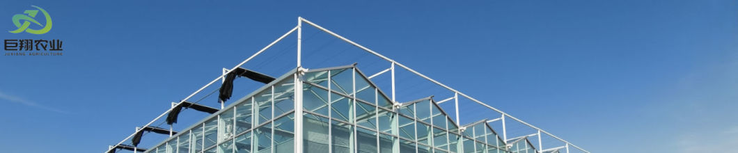 Anti-Drip Fogging Double-Film Greenhouse Structure