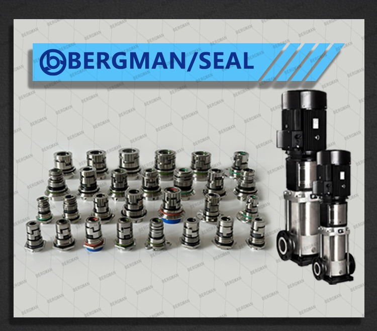 BERGMAN Replace Grundfos GLF-12 16 22 32 36mm CR CRN CRI Pump Mechanical Seal HQQV HQQE 96455086 96511844 96525458