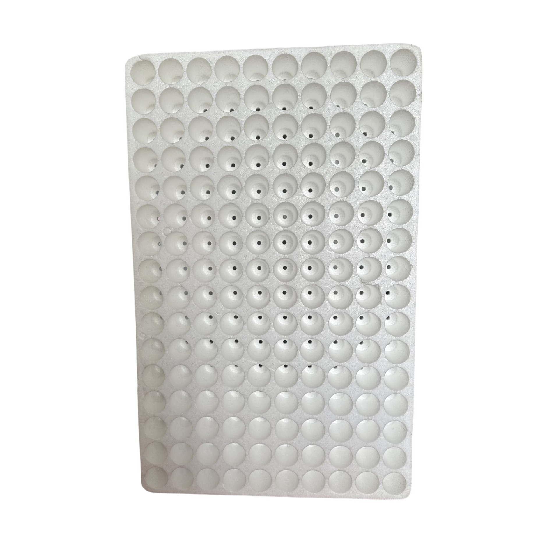 EPS seedling cultivation tray 160 holes round hole foam seedling cultivation tray water cultivation tray