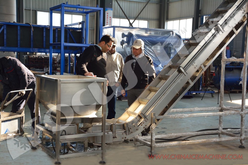 Efficiently Pack 5000kg Tube and Cube Ice with Fully-Automatic Ice Packing Machine