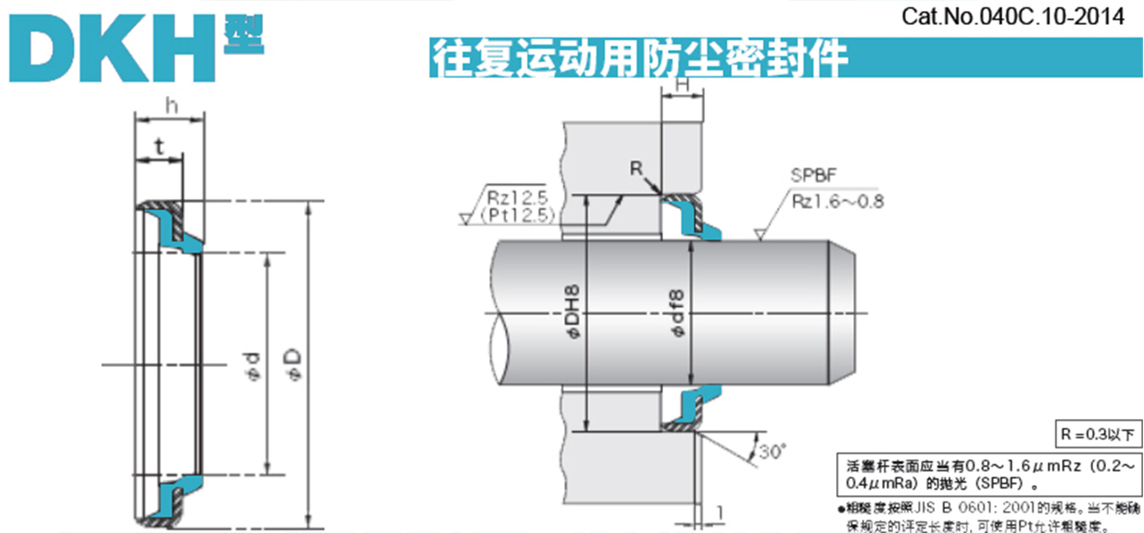 DKH Wiper Seal