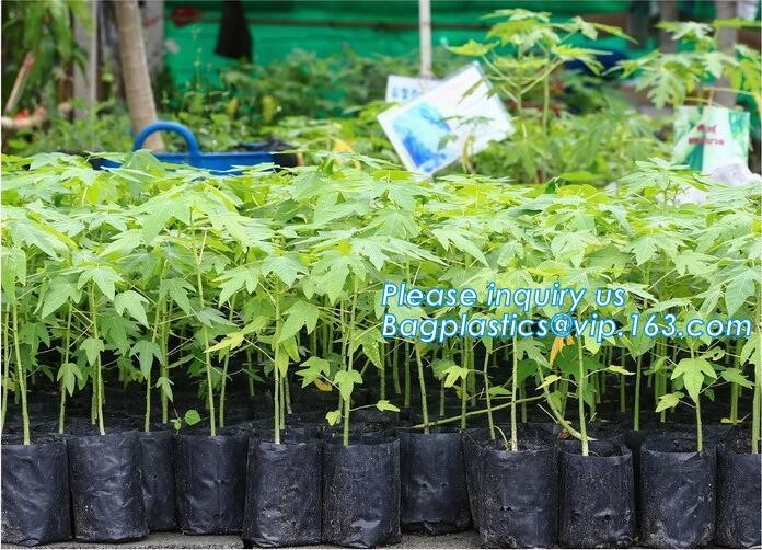 China factory supply irrigation system pe pipe price Ldpe pipe,25mm Garden irrigation PE pipe,Polyethylene PE Flexible P