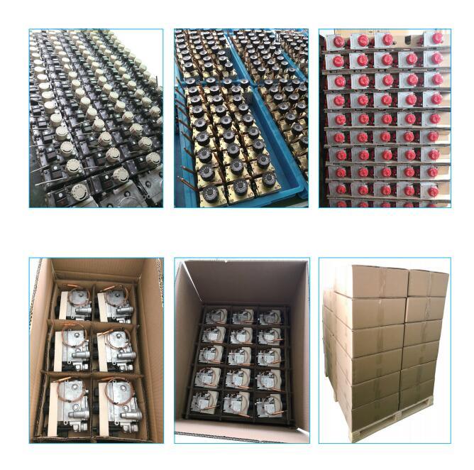120-200&ordm; C Gas Multifunctional Control with Thermoelectric Flame Supervision Device