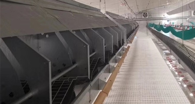 90 Degree Chain Automatic Pan Feeding System