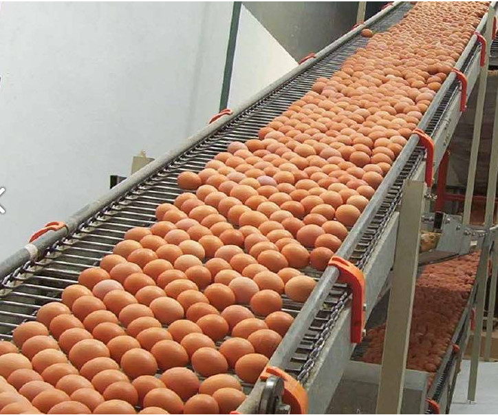 High Temperature Resistant 30m Stainless Steel Mesh Conveyor Belt