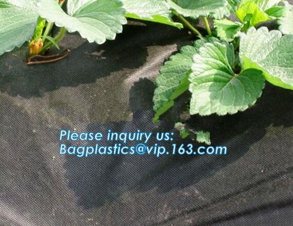 high quality PP nonwoven fabric agriculture Cover Non Woven Fabric agriculture fabric plant cover fruit bags, bagease