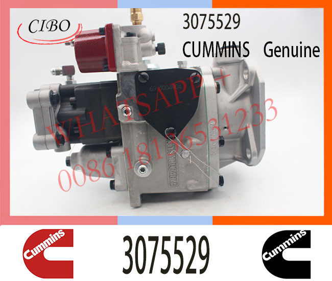 3075529 Diesel Pump for Cum-mins KTA50-GS8 K38 KTA38 Engine PT Fuel Injector 3075529 3075537 3201909 3041494 3075529