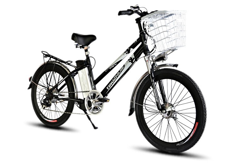 24" Brushless Motor Electric Bicycle with 48V 250W Power and 12AH Battery in Bangladesh
