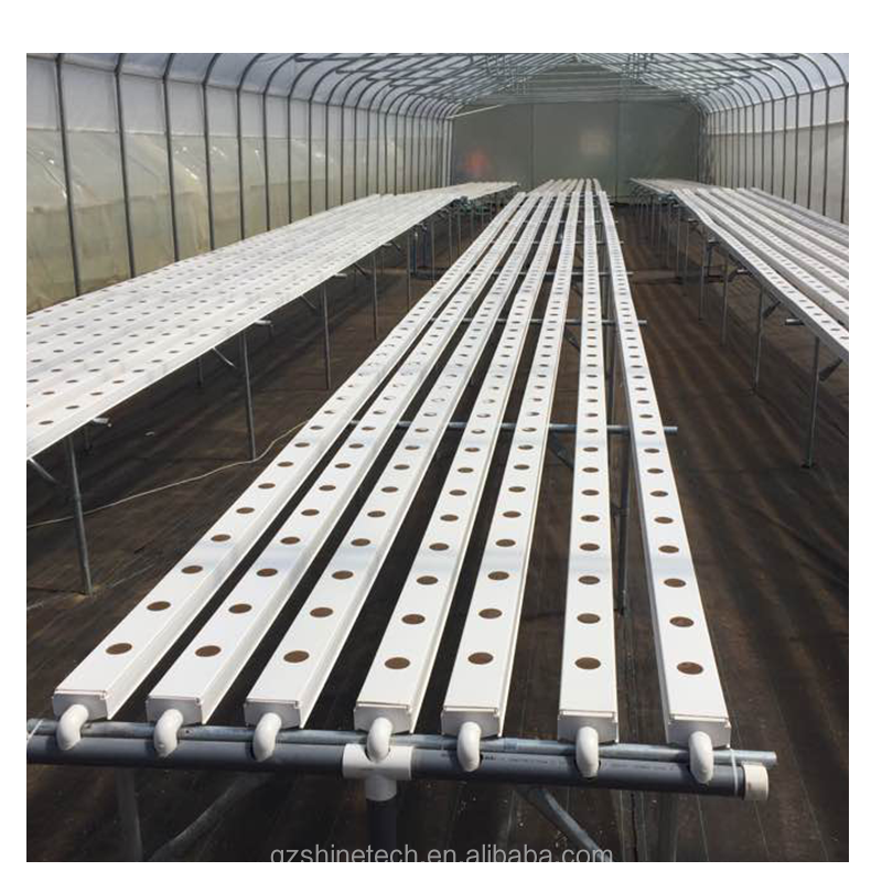 Roof and Side Ventilation Single Span Film Greenhouse for Tomato Growing