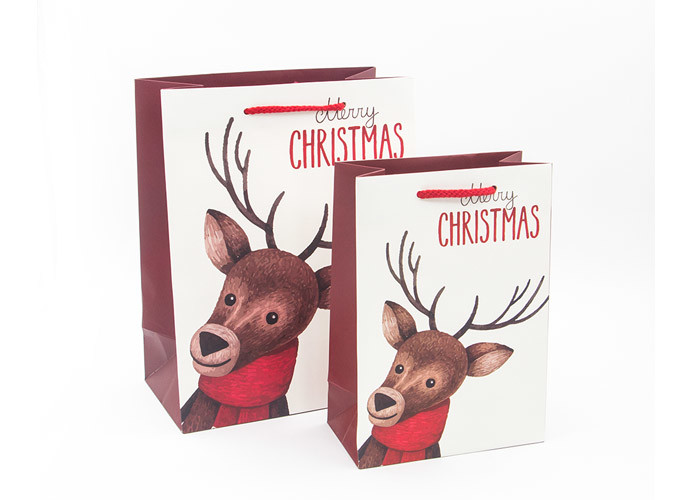 Luxury Funny Christmas Gift Bags Fashionable Appearance Screen Printing