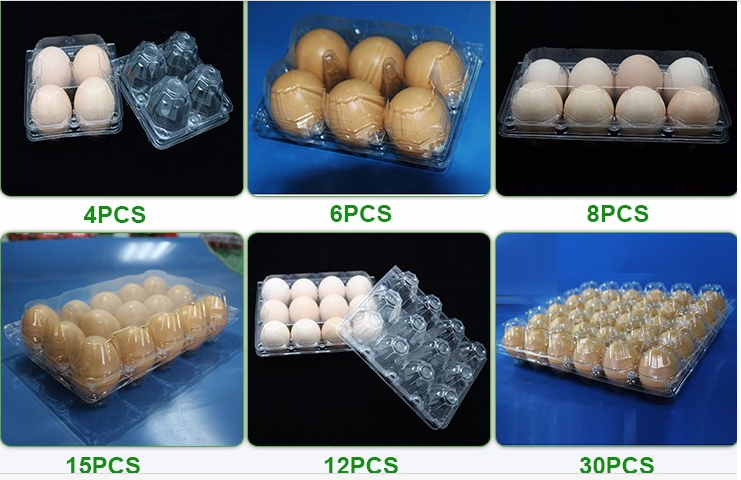 eggs colorful yellow plastic blister thermoforming vacuum plates