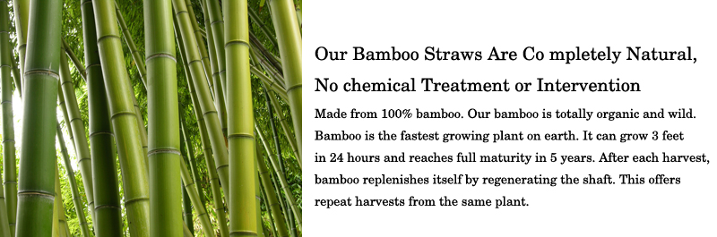 ECO FRIENDLY NATURAL BAMBOO STRAW BAMBOO STRAW FOR TRAVELLING WHOLESALE BAMBOO STRAW HIGH QUALITY
