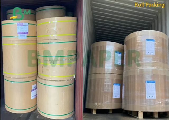 100# 120# Double Sided Coated Text Paper Glossy White For Offset Printing