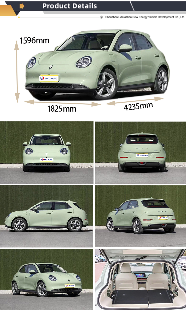 Electric Parking Brake 2024 Great Wall Ora Good Cat Car with Car Entertainment System