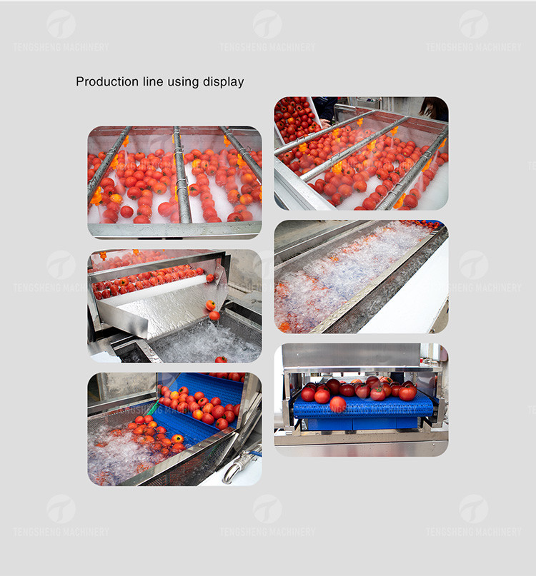 SS 380V Industrial Vegetable And Fruit Washing Machine
