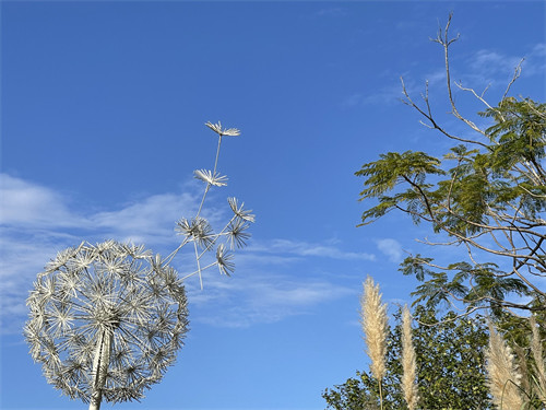Outdoor Metal Dandelion Garden Sculpture Art Led Motif Light Decorative