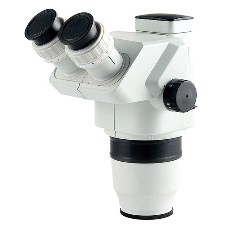 6.7X-45X Magnification Stereomicroscope for Zoology Botany Entomology Histology Mineralogy