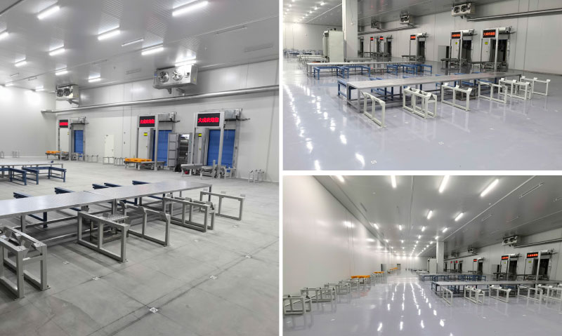 Cold Storage Warehouse ASRS
