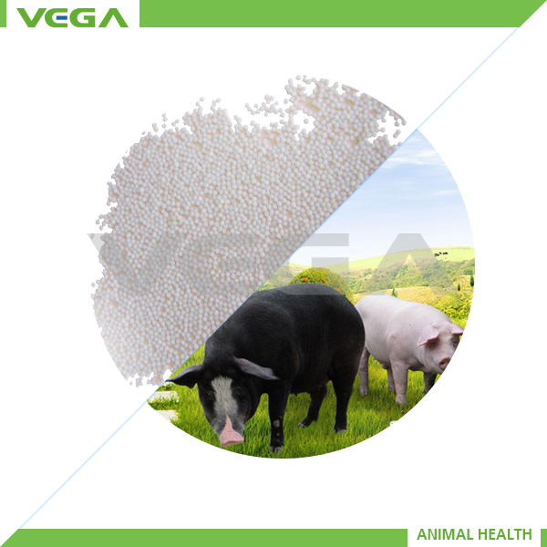 coated vitamin C ascorbic acid coated feed grade China manufacturer,exporter & importer
