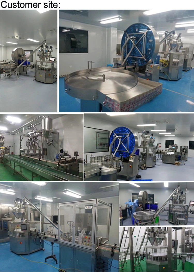 Linear Automatic Powder Packing Machine Auger Filling Capping Machine