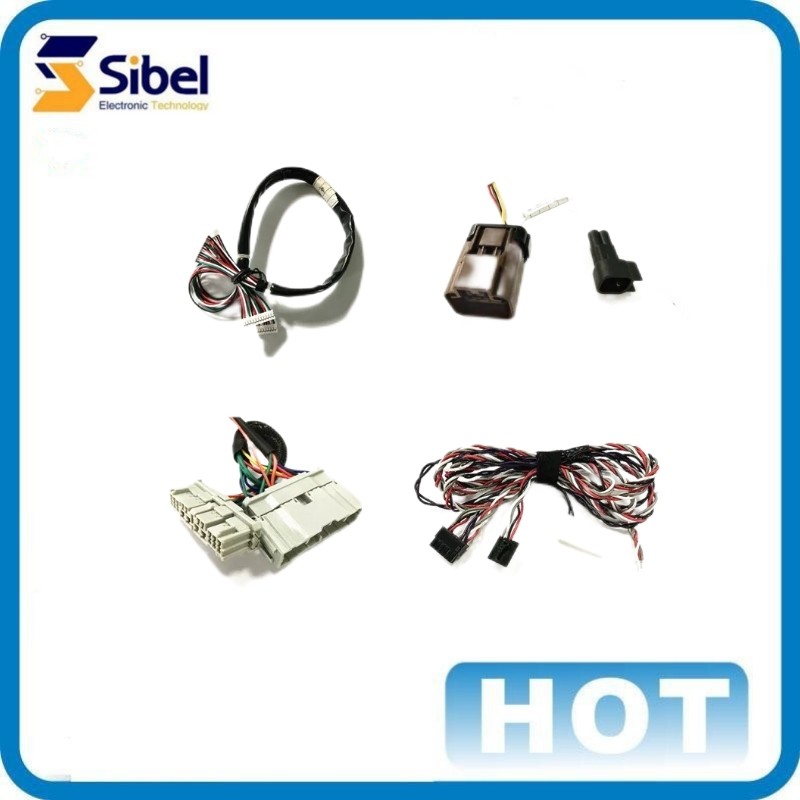 Customized Auto Electrical Wire Harness Loom Cable Assembly wiring harness in car