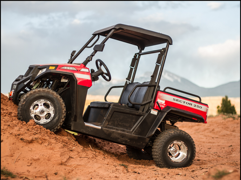 Max Power 12kW and Fuel Tank Capacity 10-20L Directly Sells 250cc Farm Buggy Jeep UTV