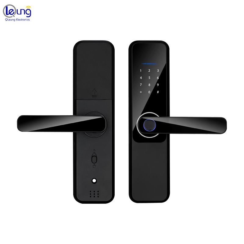 Unlock Method Tuya TTlock Password Fingerprint Smart Locks For Home
