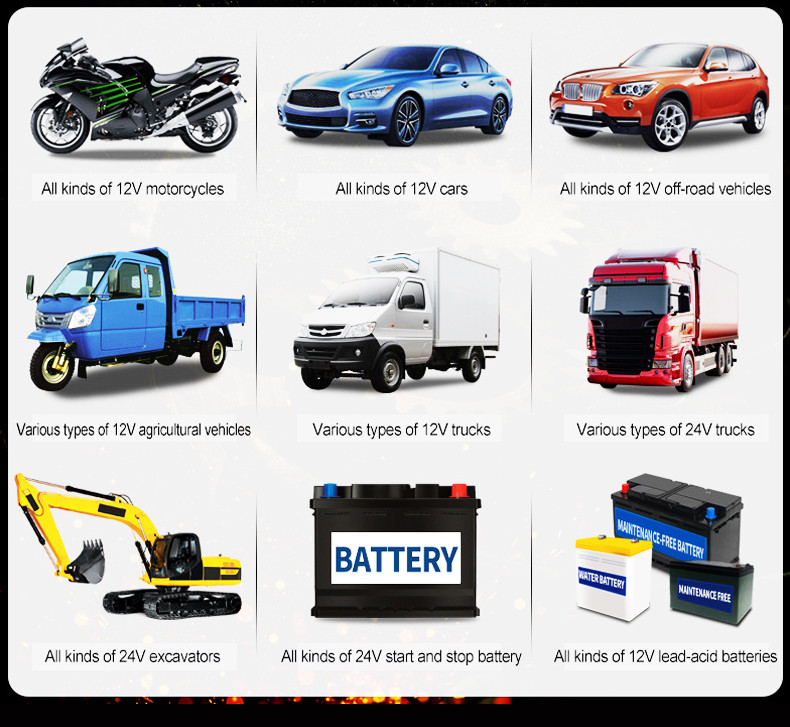 Microprocessor Control 24V 8A Diesel Car Truck Battery Charger