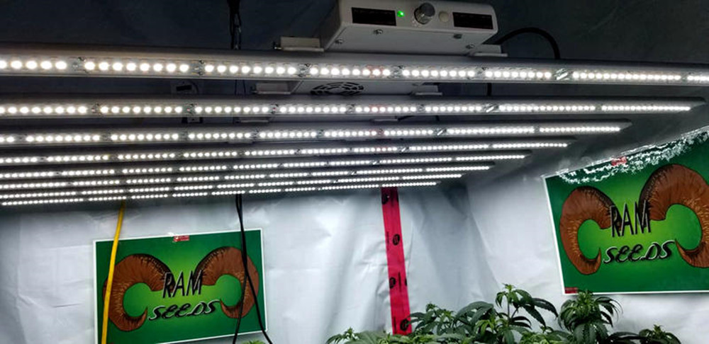 High Efficiency Wireless Dimmable LED Grow Lights For Indoor Plants