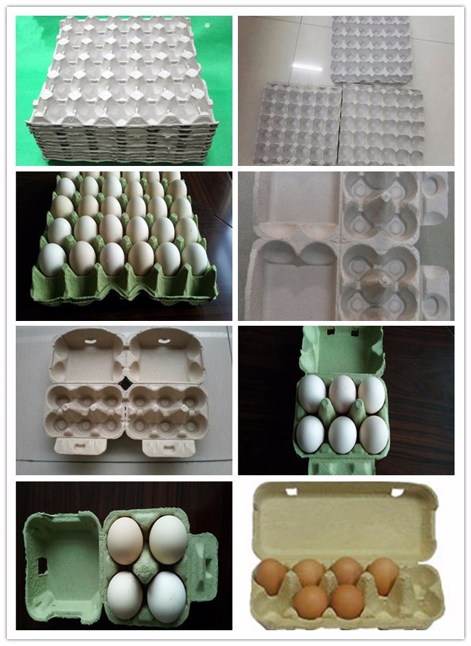 Recycling Fruit Tray Making Machine