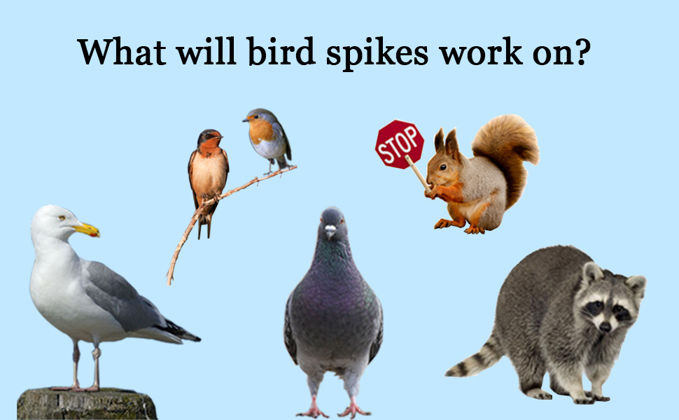 Spikes for birds animal stainless steel bird spikes window sills
