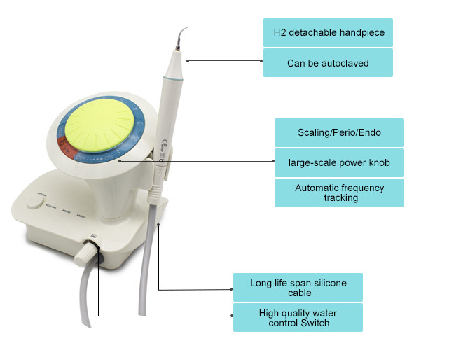 P6 Dental Ultrasonic Scaler H2 Plastic Detachable Handpiece 6pcs Tips