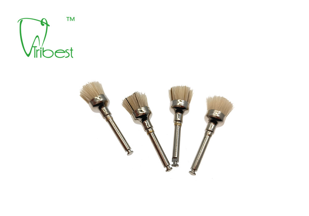 White Bristle Brush Dental Polishing Kit Teeth Polishing Brush