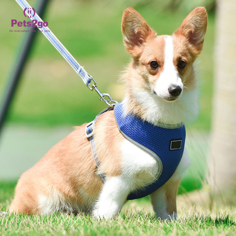 Lightweight Best Dog Harness For Puppies Cute Puppy Harness Dog Harness For Hiking