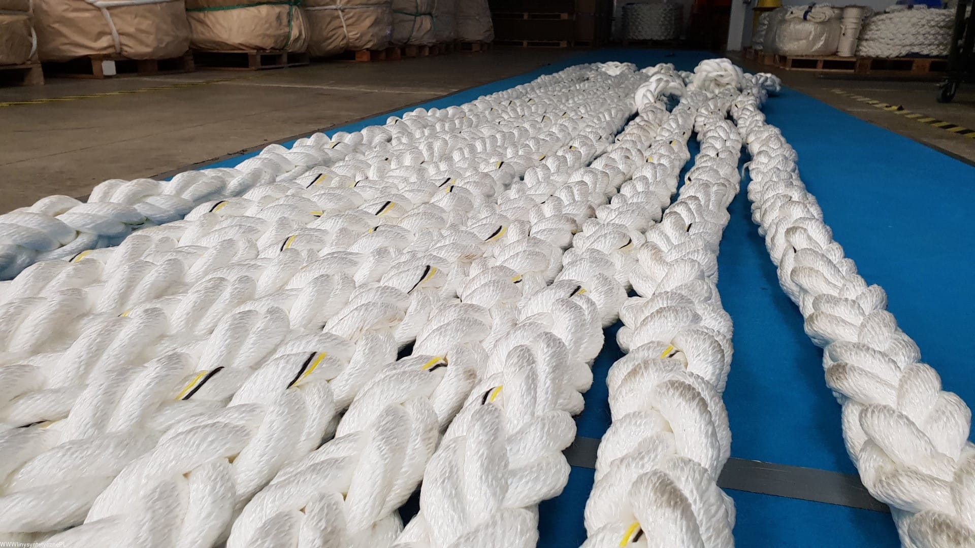 High Strength Vessel Mooring Rope with CCS Certificate and Polypropylene Material