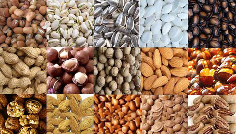 Industrial Stainless Steel Snack Roaster 0.75KW 380V Nuts Seeds Roasting Machine