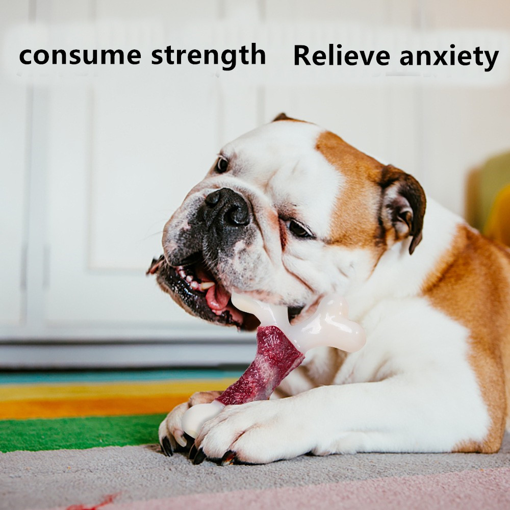 best chew bones for large dogs