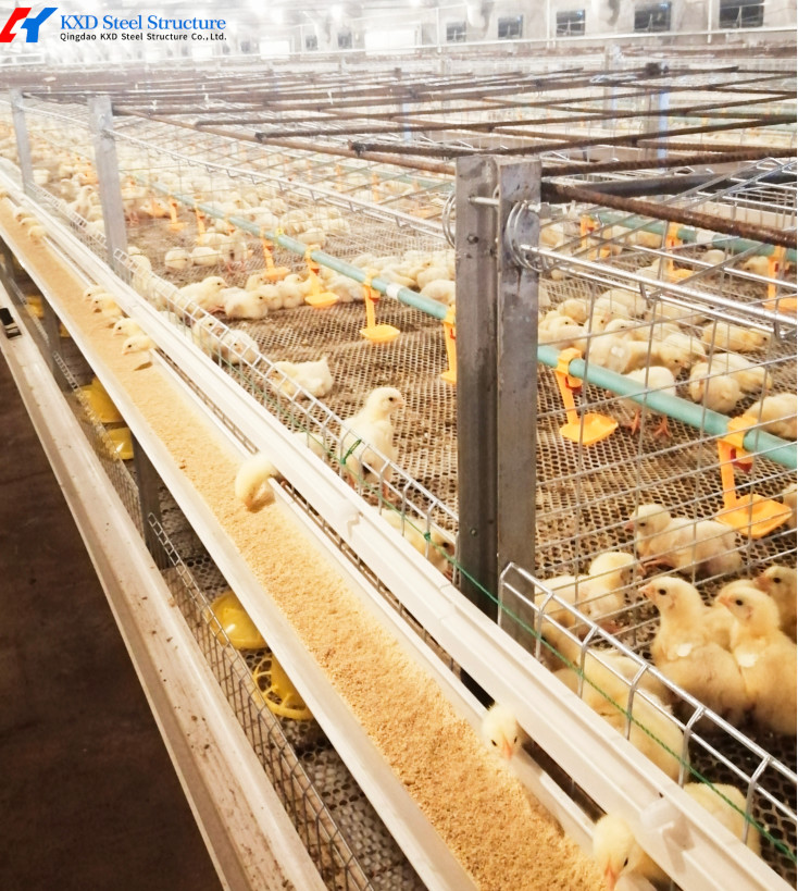 3 Tiers-10 Tiers Broiler Chicken Cage Automatic Broiler Battery Cage System