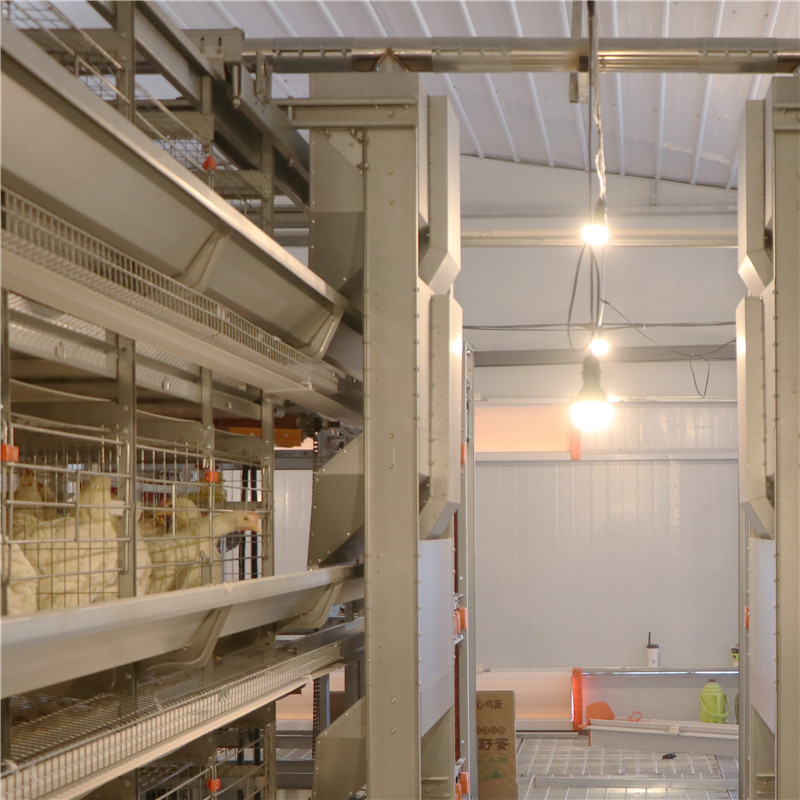 H type 4 tier 5 tier Chicken Cage For Layers Poultry Farming