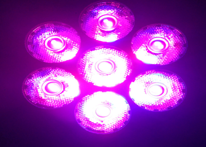 7 x 12w Nightclub DJ Disco LED Moving Head Light / Beam Moving Heads Lamp