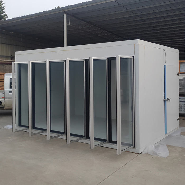 6 Glass Door Supermarket 220V Walk In Cooler Freezer
