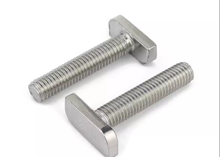 Stainless Steel SS304 316 Bolts T Head Bolt/T Type Bolt with Customized Thread Pitch