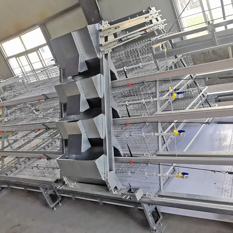 One Day Old Baby Chick Cage With Full Automatic System