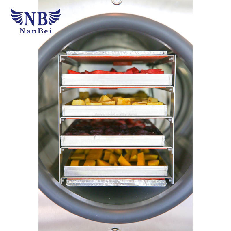 4~6kg Wholesale Minitype Food Vacuum Lyophilizer Home Mini Freeze Drying Machine with CE
