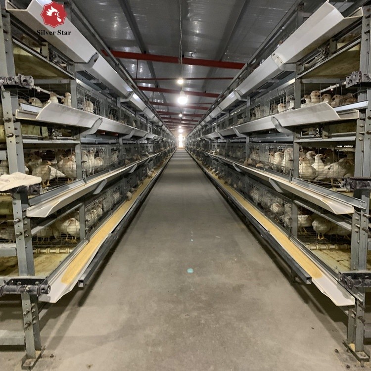3 Tiers 4 Tiers H Type Broiler Poultry Farm Automatic Chicken Broilers Cage System