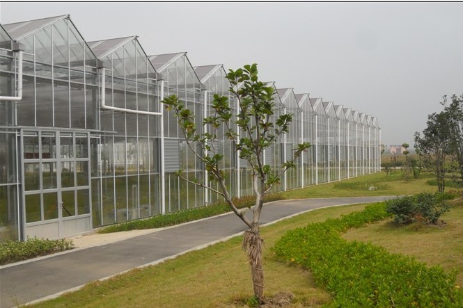 Galvanized Steel Horticultural Glass Greenhouse Waterproof Good Anti Corrosive Effect