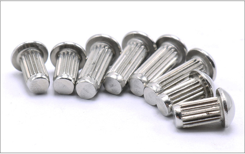 Stainless Steel Round Head Knurling Rivets Pan Head Rivets for Name Plate Round Head Knurled Rivets
